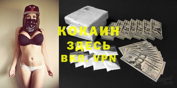 индика Армянск