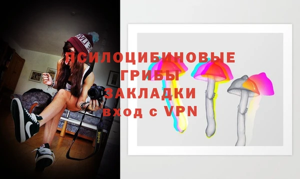мяу мяу мука Аркадак