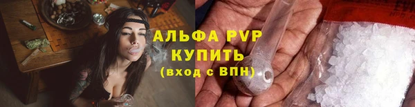 стаф Алексин