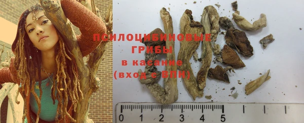 прущие крисы Алзамай