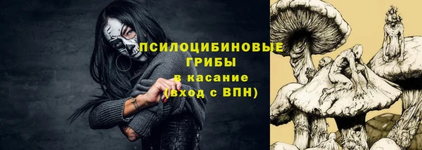 индика Армянск