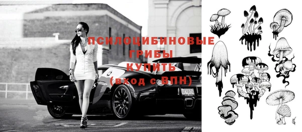 индика Армянск