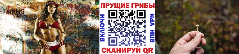 Галлюциногенные грибы GOLDEN TEACHER  Новозыбков 