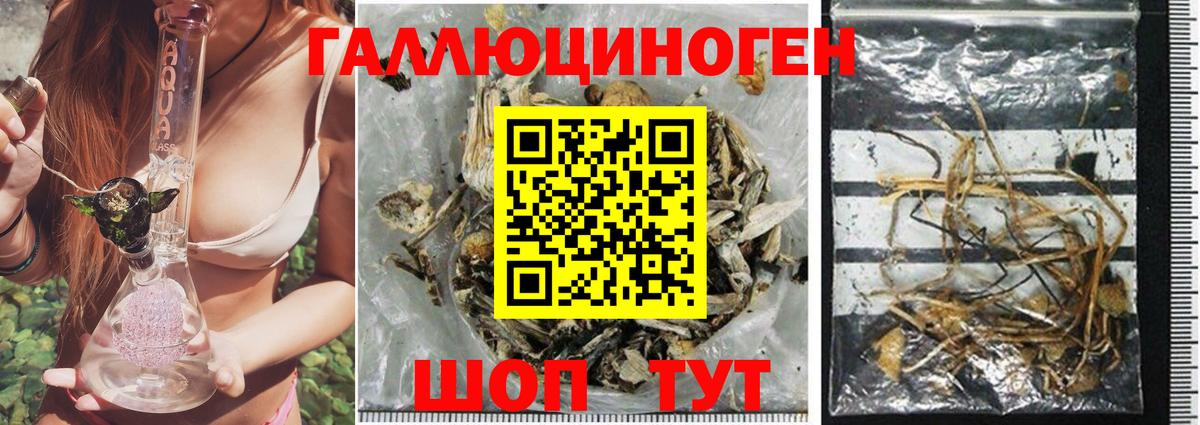 Псилоцибиновые грибы ЛСД Новозыбков