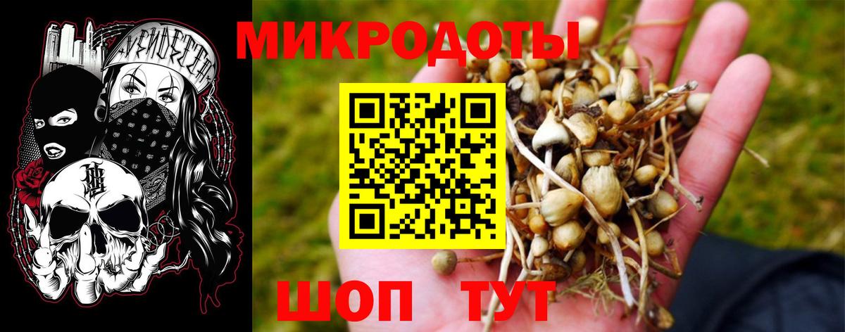 Галлюциногенные грибы прущие грибы  закладки  Новозыбков  Вход с VPN  Псилоцибиновые грибы мицелий 