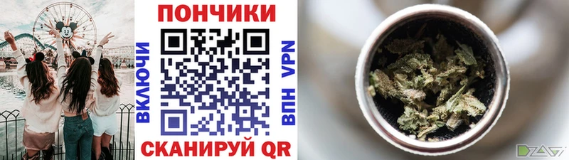 Бошки Шишки Amnesia  Новозыбков 