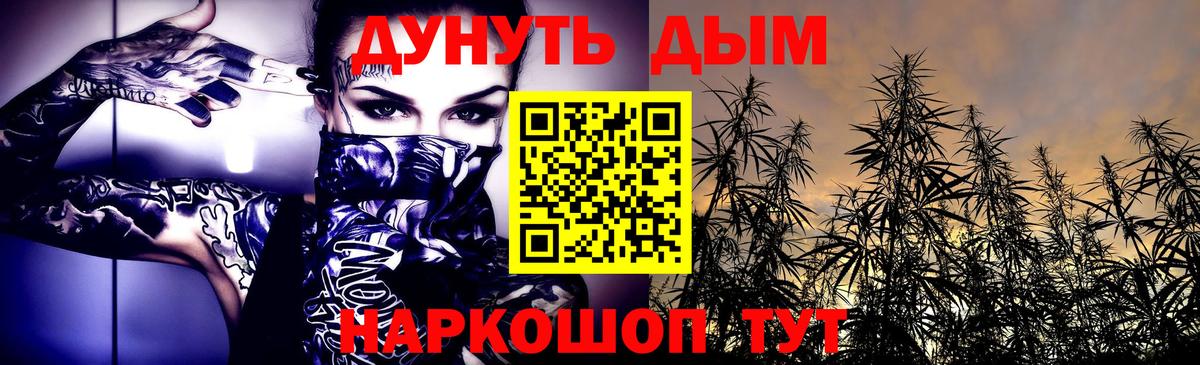 Бошки марихуана конопля Новозыбков
